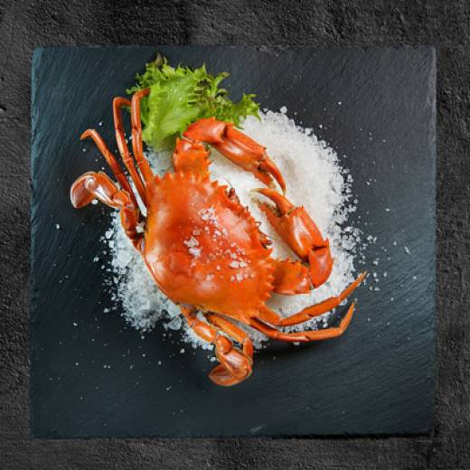seafood disurabaya