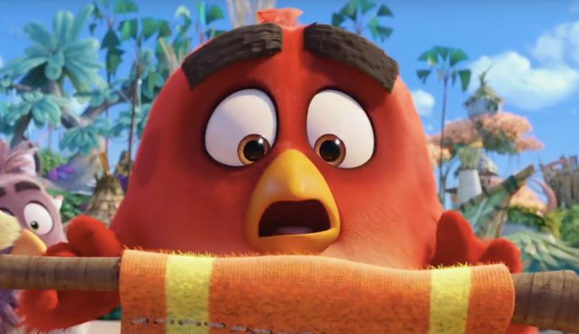 angry bird