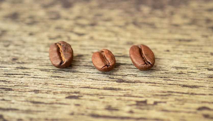 butir kopi