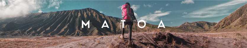 matoa indonesia