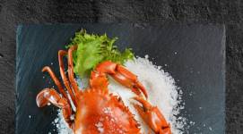 seafood disurabaya